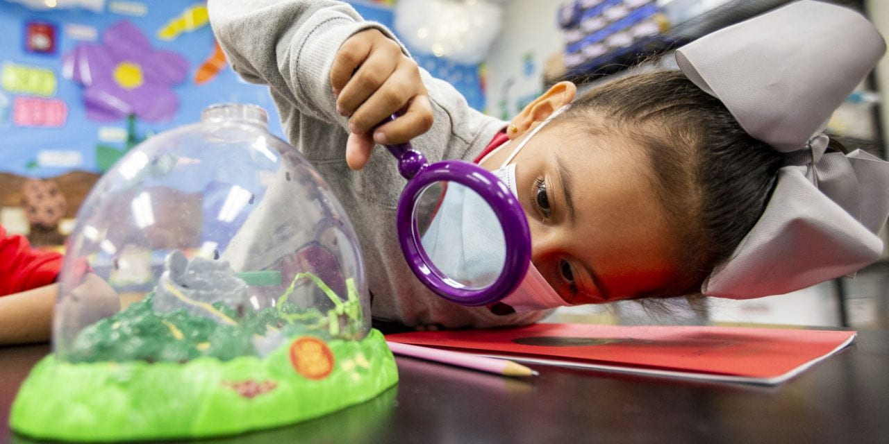 Dallas Morning News: Pre-K registration for 3, 4-year-olds begins this week in Irving ISD